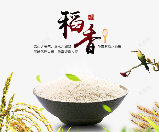 稻香png免抠素材_新图网 https://ixintu.com 大米 稻香 米饭 鸟 麦穗