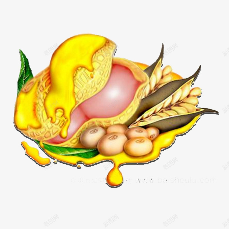 金色食物坚果png免抠素材_新图网 https://ixintu.com 坚果 小麦 油 粗粮 花生 金色