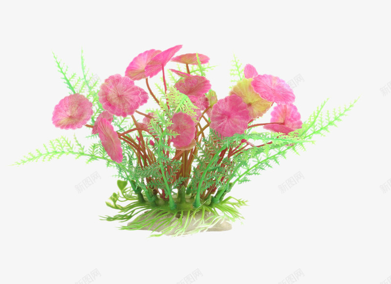 鱼缸造景装饰荷叶草大圆草png免抠素材_新图网 https://ixintu.com 产品实物 仿真花草水族 仿真荷叶草大圆草 造景前景仿真水 鱼缸造景装饰