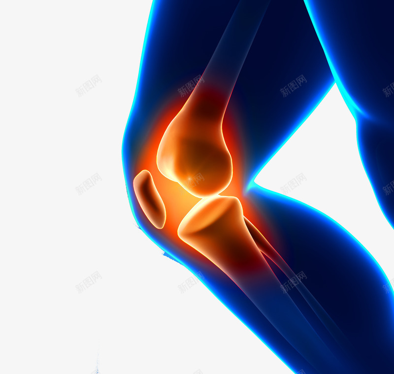 屈膝png免抠素材_新图网 https://ixintu.com 人物模型 关节 关节矢量图 关节膝盖疼痛 生病病痛 疼痛 腿疼 膝关节 膝盖