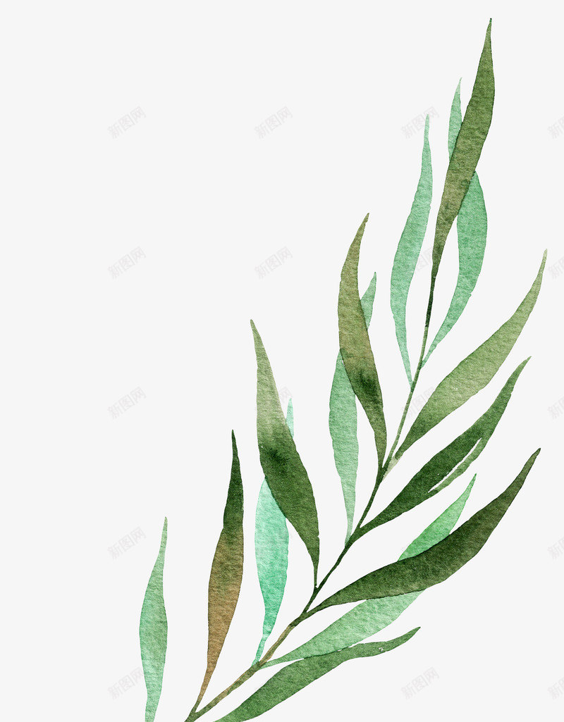 春季花草树叶装饰png免抠素材_新图网 https://ixintu.com 小清新 手绘花草 春季 春季花草 树叶 花草