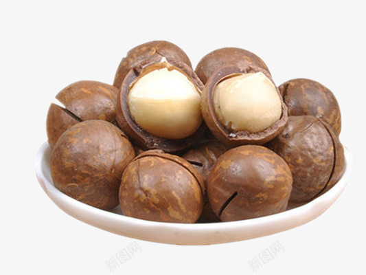 夏威夷果png免抠素材_新图网 https://ixintu.com 产品实物 坚果 外壳坚硬 软化血管