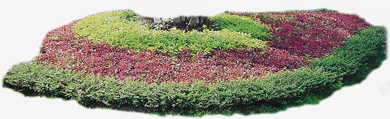 花圃花坛园艺png免抠素材_新图网 https://ixintu.com 园艺 坡 绿化 自然 花坛 花草