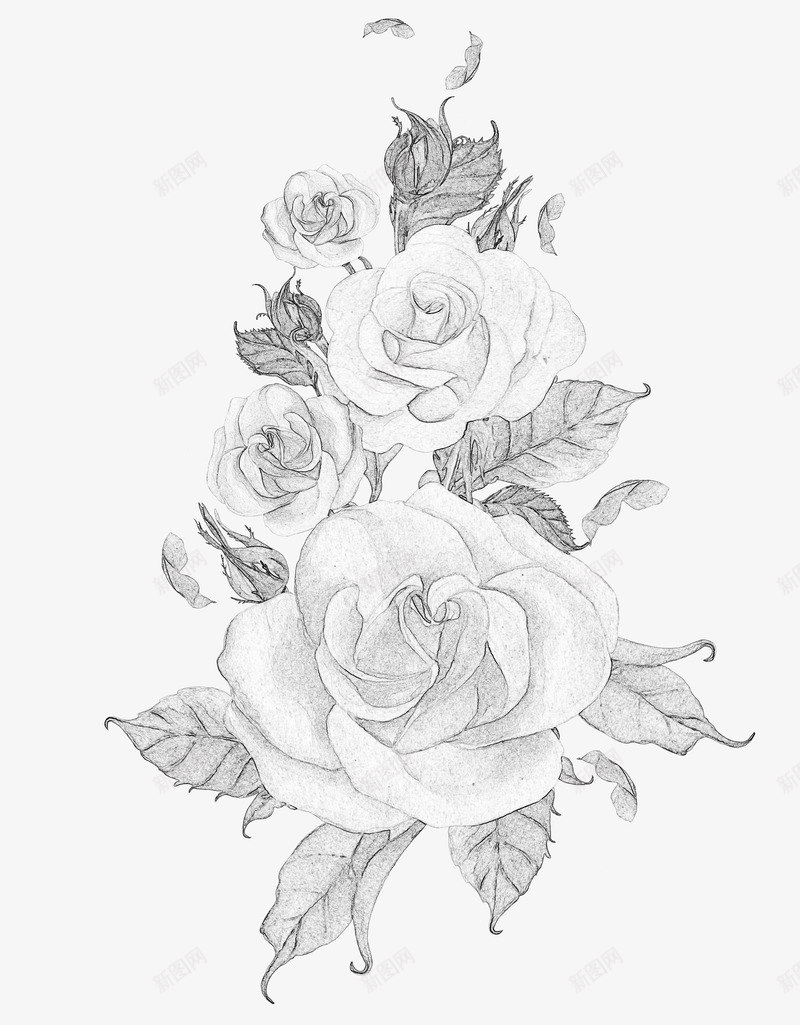 黑白素描花元素背景png免抠素材_新图网 https://ixintu.com 复古黑白背景图 素描 素描花丛 背景 花 花朵写生 花线描 花线稿 黑白