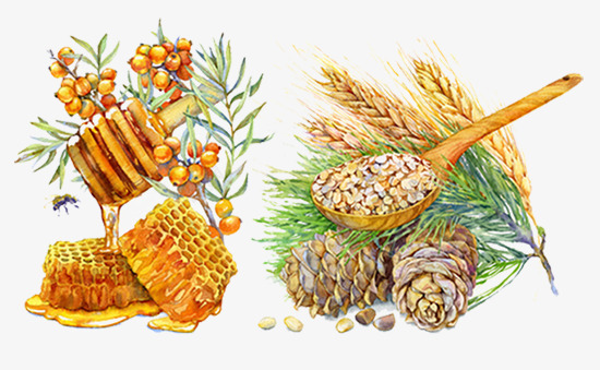 卡通蜂蜜燕麦png免抠素材_新图网 https://ixintu.com 燕麦 生态农业 粗粮 蜂蜜 食品