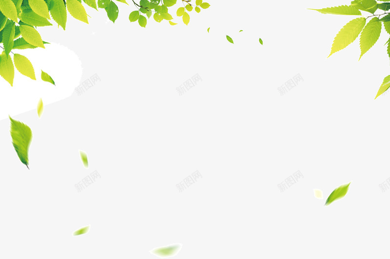夏日林荫飘落树叶png免抠素材_新图网 https://ixintu.com 夏日 林荫 树叶 飘落