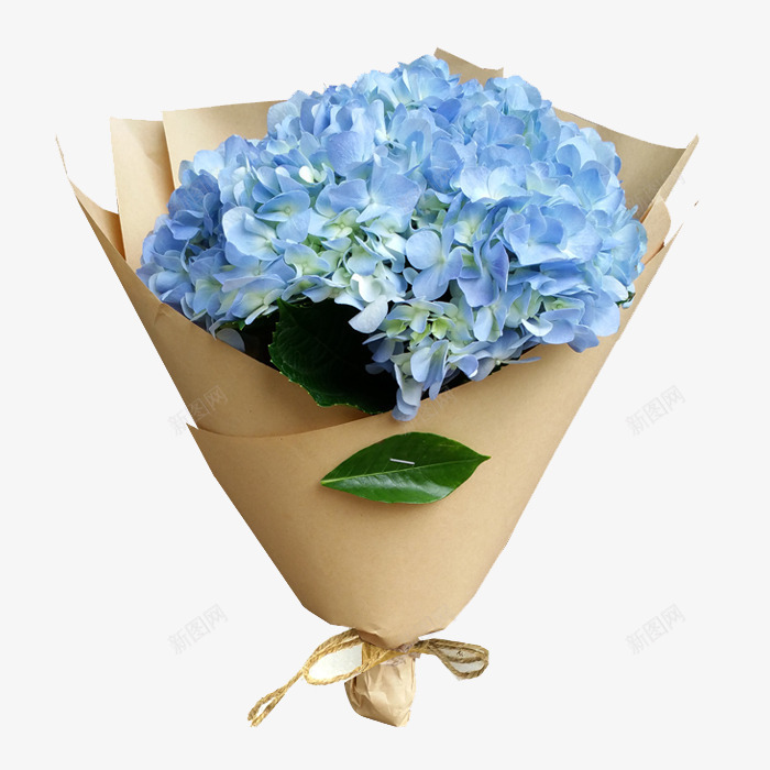 蓝色绣球花束片png免抠素材_新图网 https://ixintu.com 一束花 产品实物 浪漫 绣球花 花束 蓝色绣球 蓝色花朵