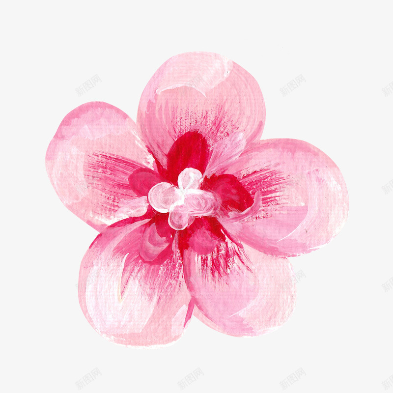 情人节粉色花瓣装饰png免抠素材_新图网 https://ixintu.com 卡片 可爱 少女心 情人节 清新 粉色 节日 花卉 花瓣 装饰 贺卡