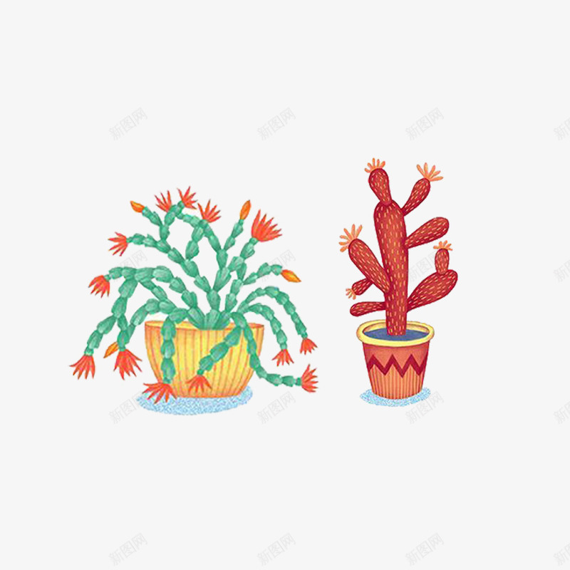 开着花的仙人掌蟹爪兰png免抠素材_新图网 https://ixintu.com 仙人掌 开花 彩绘 蟹爪兰