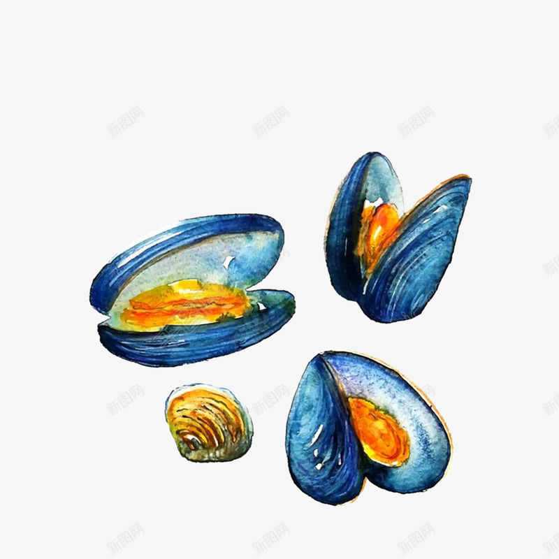 手绘海鲜雪蛤png免抠素材_新图网 https://ixintu.com 张开的雪蛤 水彩画 海鲜雪蛤 生鲜手绘