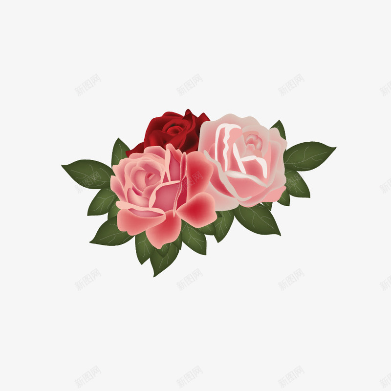 好看的花png免抠素材_新图网 https://ixintu.com 书签 底纹 标题框 花 花纹