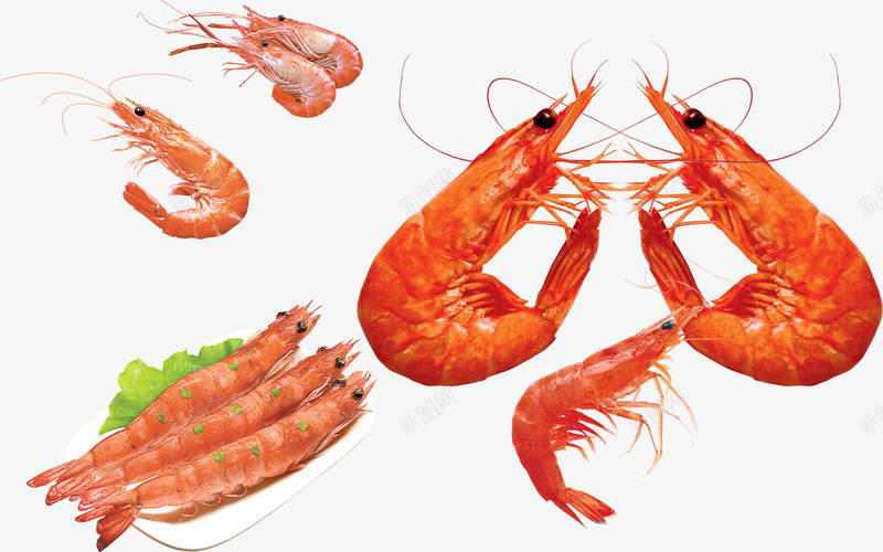 小龙虾png免抠素材_新图网 https://ixintu.com 小龙虾 海产 海鲜 虾类 食物 餐饮 龙虾