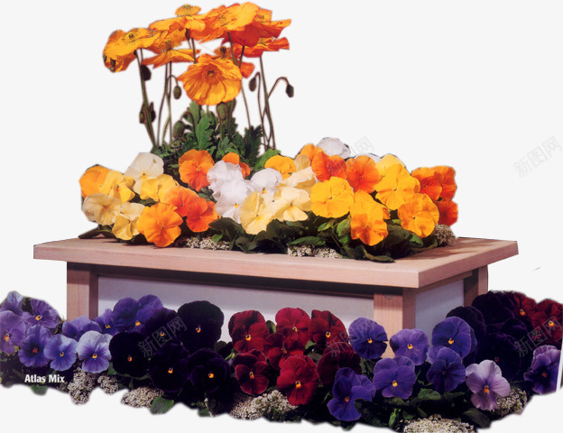 花圃花坛园艺png免抠素材_新图网 https://ixintu.com 双层花坛 园艺 绿化 自然 花草