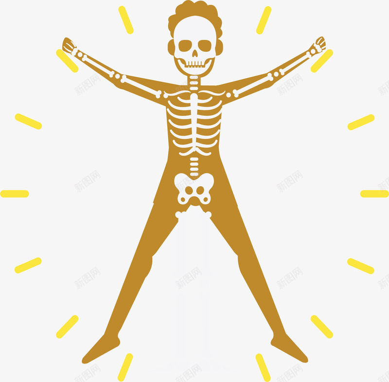 医疗人体骨架图例矢量图ai免抠素材_新图网 https://ixintu.com 人体 人体骨架 医疗 矢量png 骨架 骨架图例 矢量图