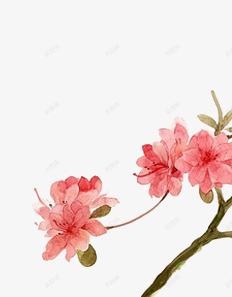 花开富贵png免抠素材_新图网 https://ixintu.com 古风 枝干 水墨 粉红 花
