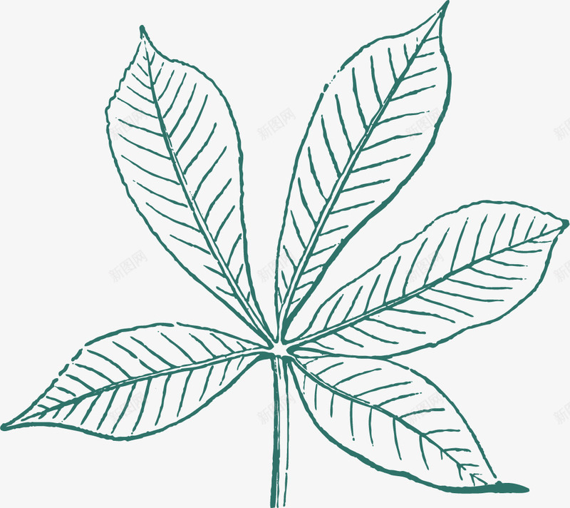 枫叶手绘png免抠素材_新图网 https://ixintu.com 徒手绘制 手绘 枫叶 线条绘制 钢笔手绘 钢笔画画