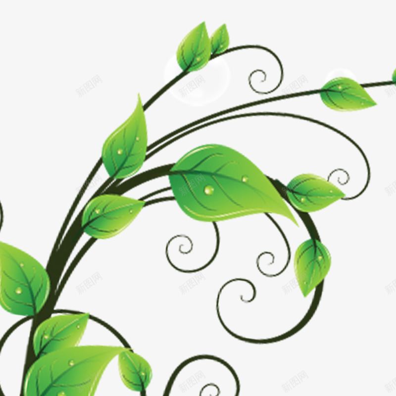 植物png免抠素材_新图网 https://ixintu.com 春季元素 春季素材 树叶 蔓藤 藤条