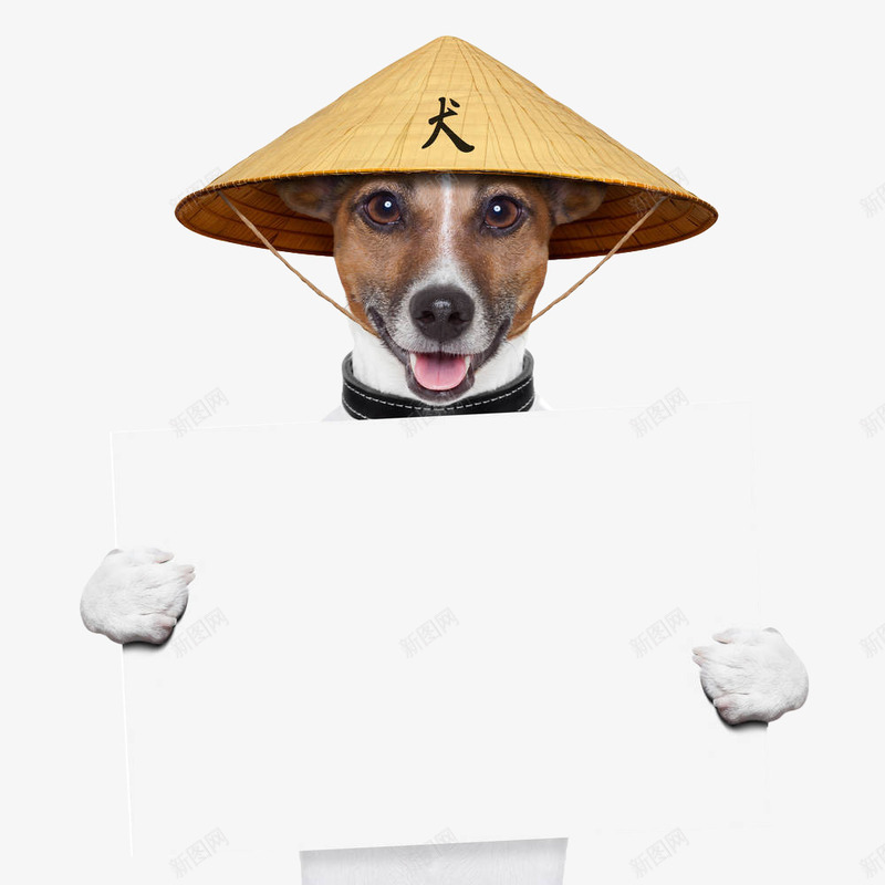 带斗笠的狗png免抠素材_新图网 https://ixintu.com 小狗 帽子 斗笠 斗笠帽子 白色文案框 锥形帽 雨具