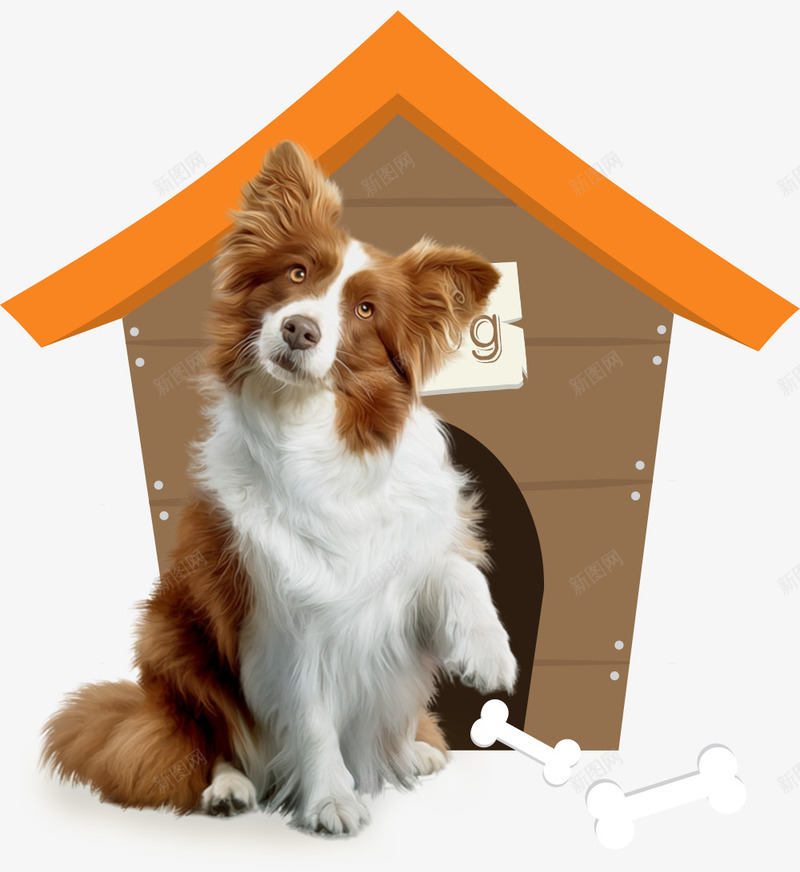 宠物狗屋psd免抠素材_新图网 https://ixintu.com 宠物 宠物之家 宠物狗 宠物用品 狗 狗屋 萌宠