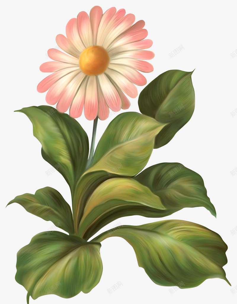 创意花草花卉png免抠素材_新图网 https://ixintu.com 创意花草 创意花草图片 唯美花卉图片 唯美花草图片 花卉图案 花草标签 装饰卡通