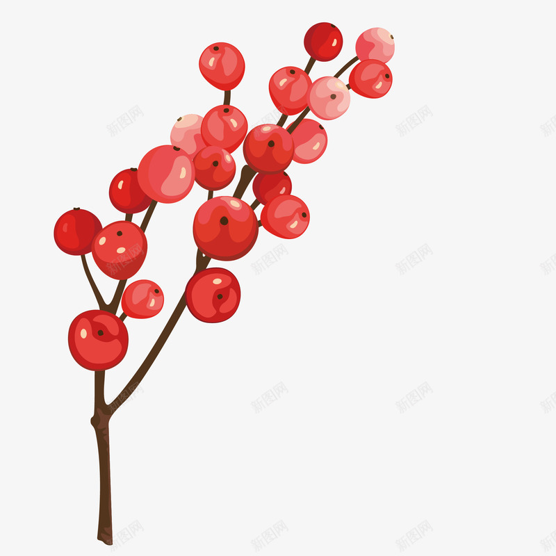 手绘樱桃枝png免抠素材_新图网 https://ixintu.com 图示 插图 树枝 樱桃 樱桃树枝 装饰
