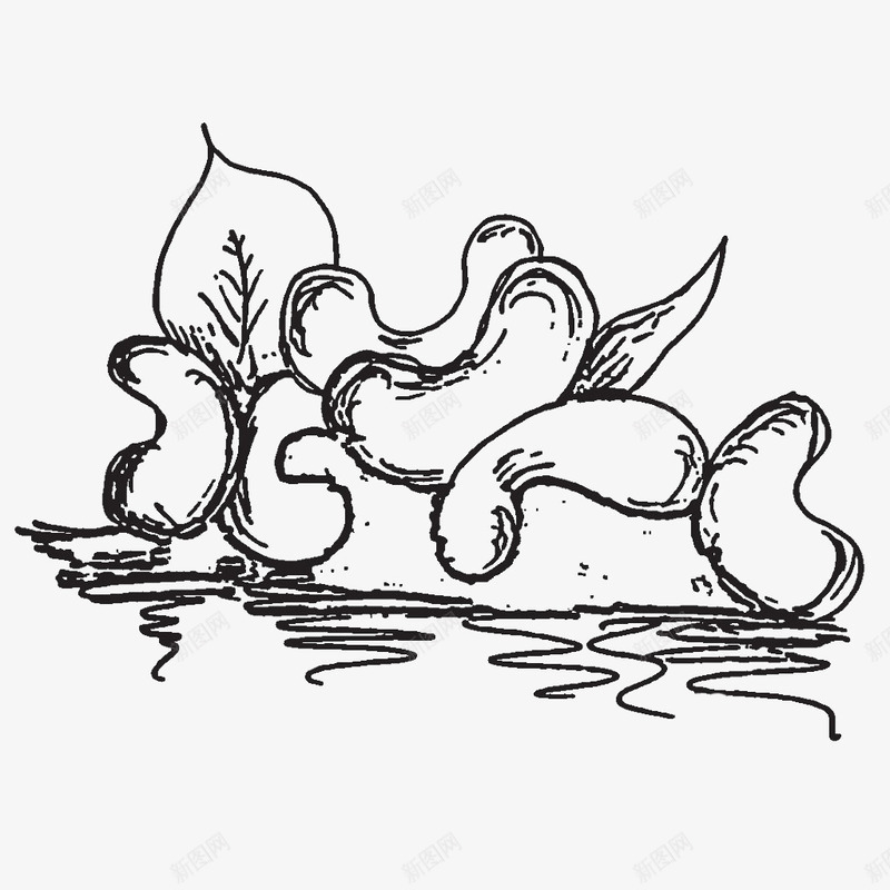 手绘一堆腰果零食插画图标png_新图网 https://ixintu.com 叶子 坚果 手绘 手绘腰果 果实 炭烧 美味 腰果 零食