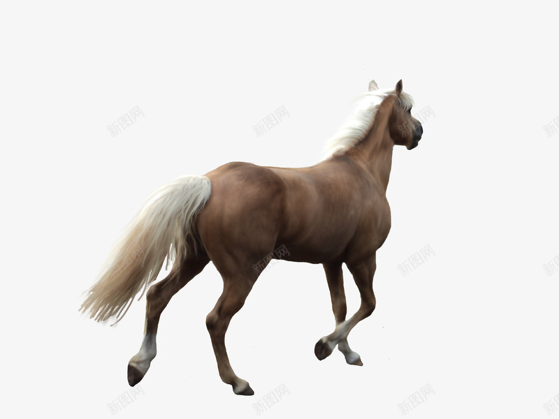 马手绘马骏马背影图标png_新图网 https://ixintu.com 卡通素材 卡通马素材 手绘马 毛笔马 素描 背影 马图标 马素描 骏马