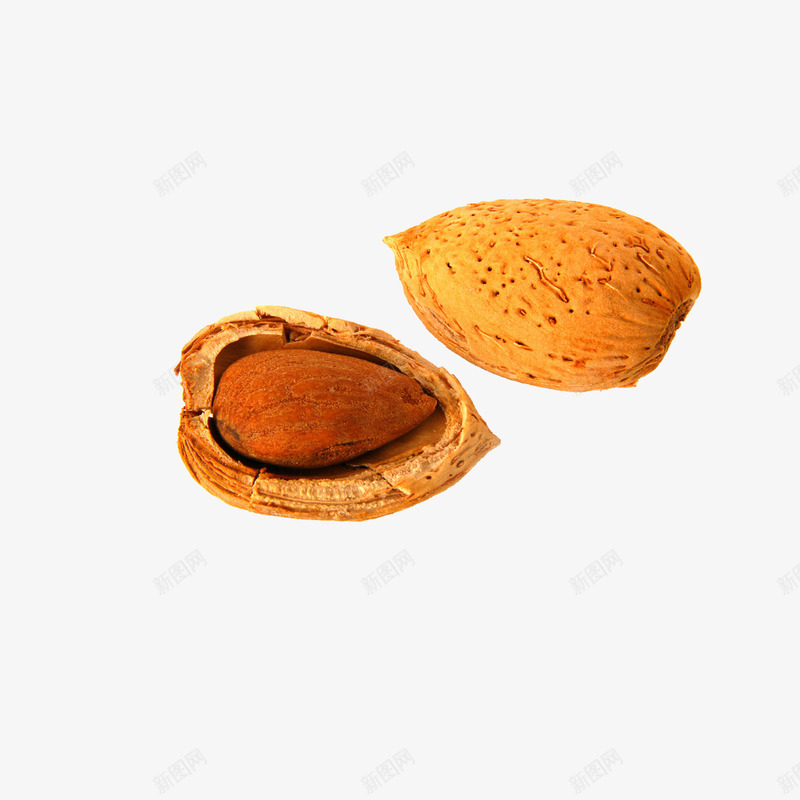 一颗剥开的杏仁png免抠素材_新图网 https://ixintu.com 坚果 干果 杏子 零食