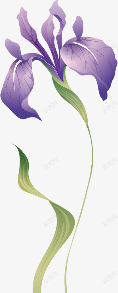 手绘紫色兰花png免抠素材_新图网 https://ixintu.com 兰花草 手绘图 紫色素材 花朵 鲜花