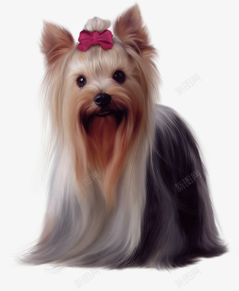 贵妇宠物犬png免抠素材_新图网 https://ixintu.com 宠物犬 蝴蝶结 贵妇