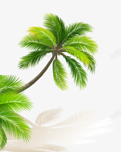 绿色椰子树宝贝背景png免抠素材_新图网 https://ixintu.com 宝贝 椰子树 绿色 背景