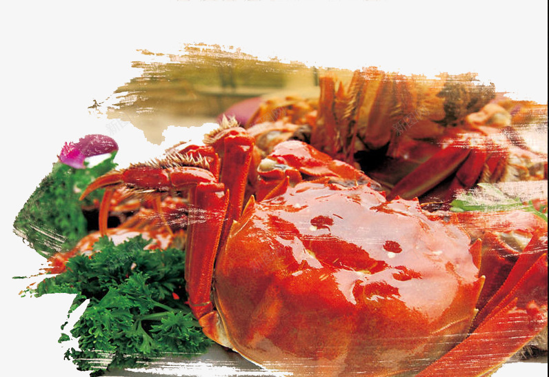食物大闸蟹png免抠素材_新图网 https://ixintu.com 健康 海鲜 美味 食物