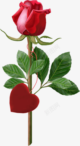 花草背景水彩花卉png免抠素材_新图网 https://ixintu.com 手绘花卉素材 花卉图案素材 花草图案 装饰卡通