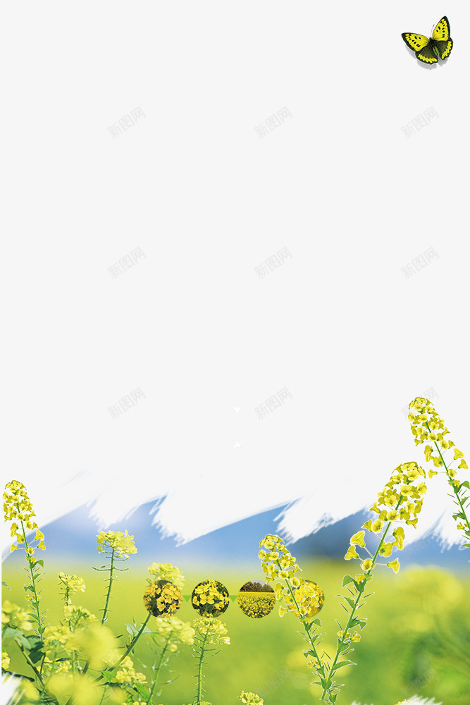 春季油菜花装饰边框创意psd免抠素材_新图网 https://ixintu.com 大自然景色边框 春季 春游 春色 植物边框 油菜花装饰边框 花朵装饰边框