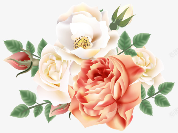 精致手绘玫瑰花朵png免抠素材_新图网 https://ixintu.com 玫瑰 精致 绘画 花草 花蕾