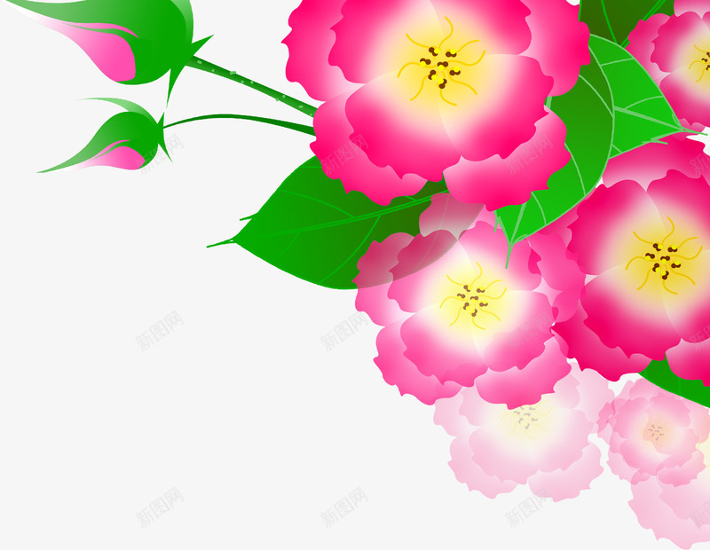 手绘粉色春季花朵花苞png免抠素材_新图网 https://ixintu.com 春季 粉色 花朵 花苞