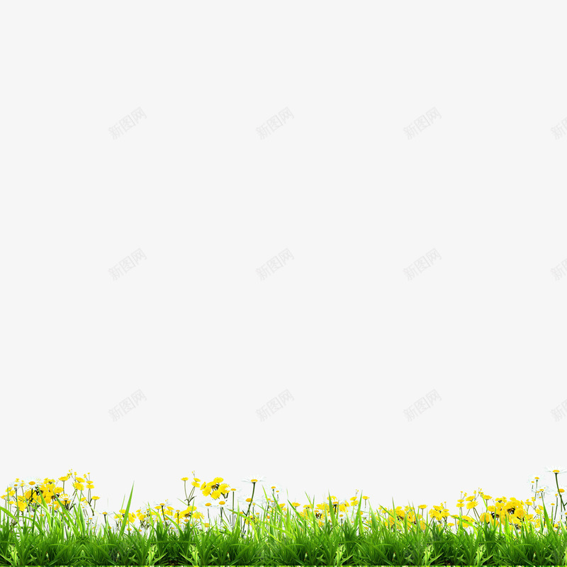 茂盛的花丛png免抠素材_新图网 https://ixintu.com 花丛 花草 茂盛 草丛