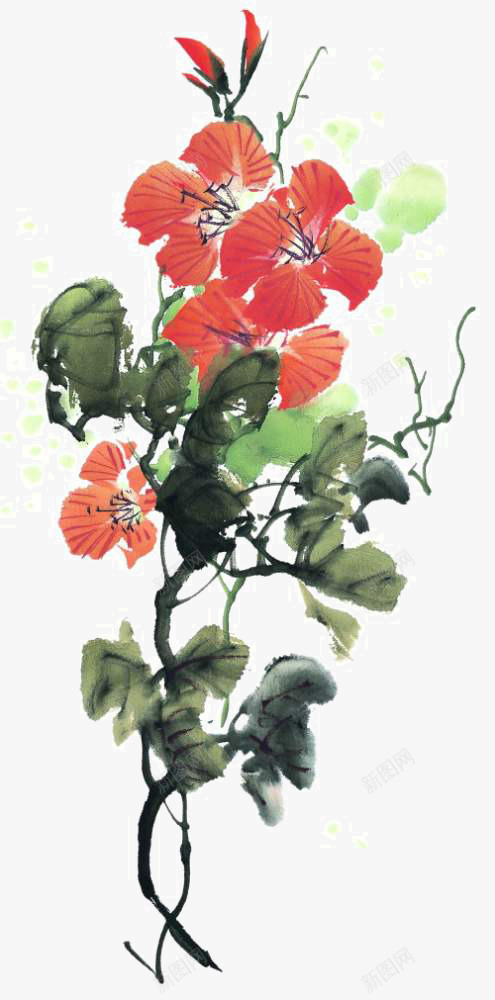 国画花卉png免抠素材_新图网 https://ixintu.com 国画写生小品 宣纸花草 彩墨国画花草 手绘国画 手绘花草 装饰植物手绘