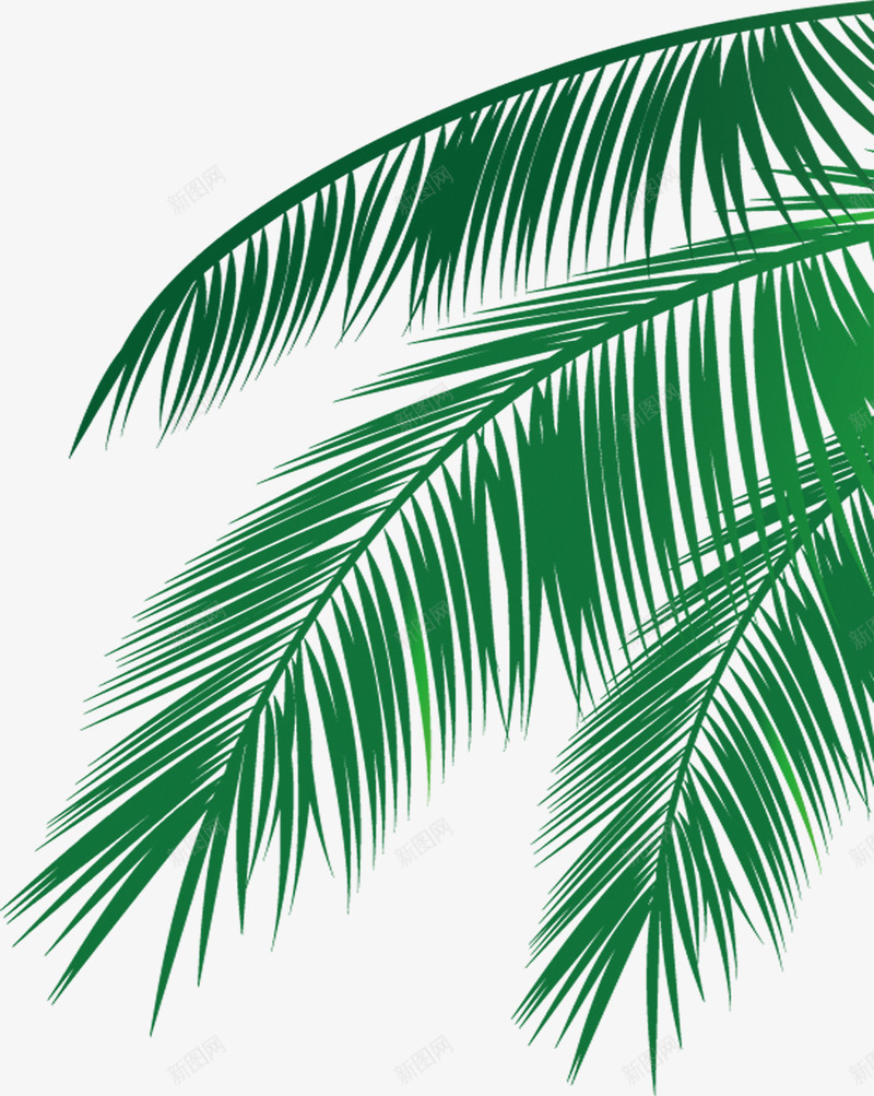 海报夏日活动手绘绿色植物棕叶png免抠素材_新图网 https://ixintu.com 动手 夏日 海报 绿色植物
