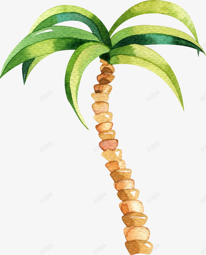 文艺清新花草海报装饰椰子树png免抠素材_新图网 https://ixintu.com 小清新花草装饰 文艺花草PPT制作 植物插画 椰子树 海报设计 花草包装礼盒 花草插画 花草装饰