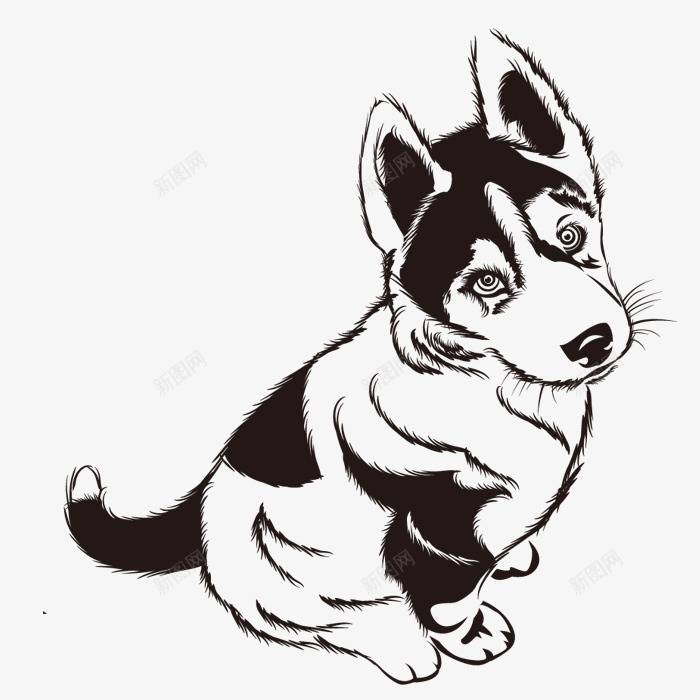 手绘小狗png免抠素材_新图网 https://ixintu.com 儿童画画 儿童绘本 动物插画 卡通动物漫画 卡通小狗 可爱 手绘小狗 插画 贺卡