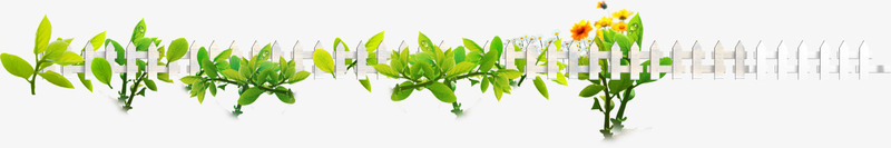 绿色树叶植物花草png免抠素材_新图网 https://ixintu.com 树叶 植物 绿色 花草