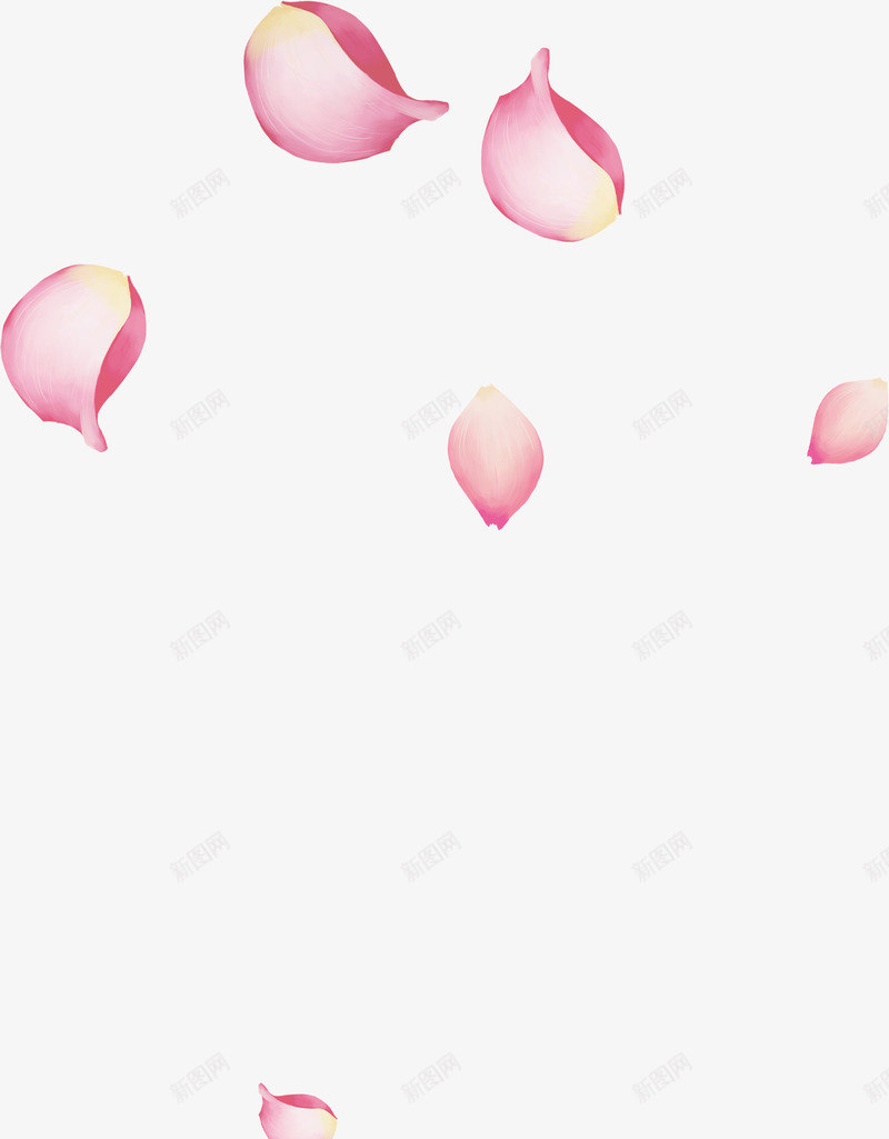 粉色手绘玫瑰婚礼png免抠素材_新图网 https://ixintu.com 婚礼 玫瑰 粉色