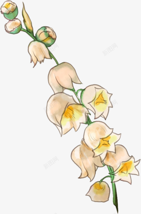 手绘水彩漂亮铃铛花png免抠素材_新图网 https://ixintu.com 小清新花草装饰 文艺花草PPT制作 植物插画 海报设计 花草包装礼盒 花草插画 花草装饰 铃铛花