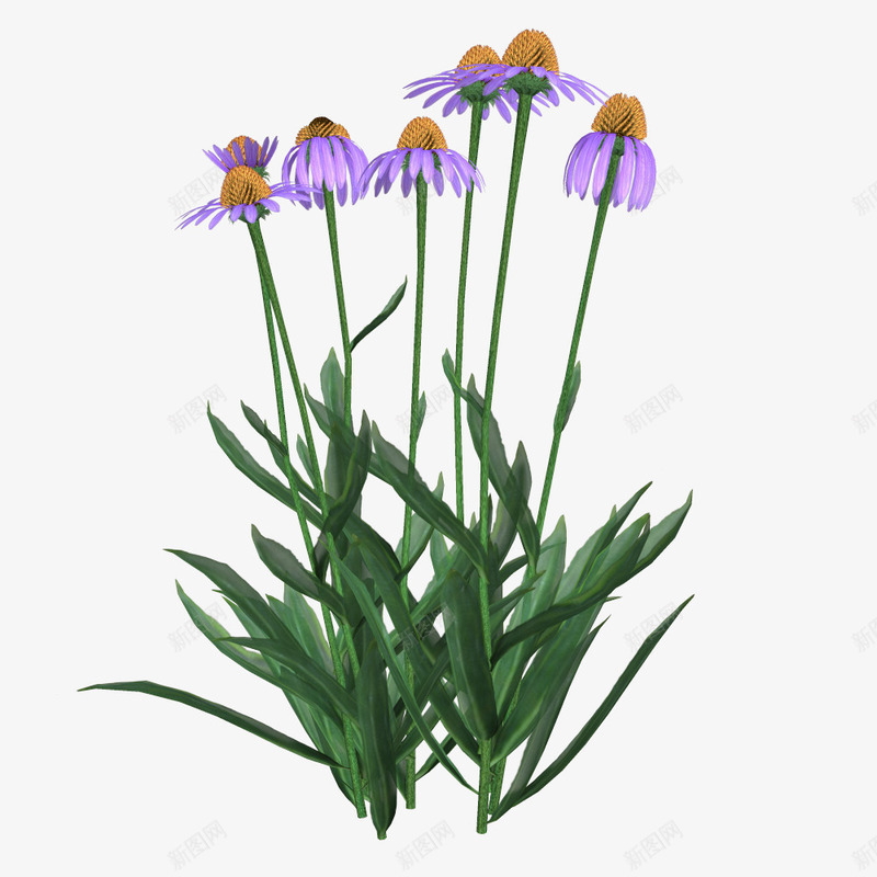 花卉背景唯美花草png免抠素材_新图网 https://ixintu.com 创意花卉图片 卡通装饰 唯美花草图片 花卉 花卉背景 花草图案