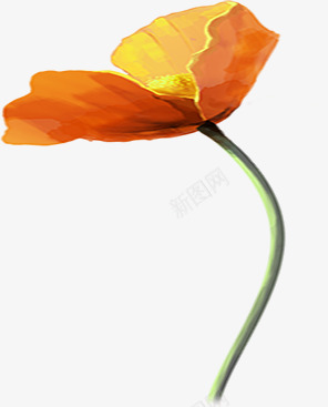 春天文艺黄色手绘花朵png免抠素材_新图网 https://ixintu.com 文艺 春天 花朵 黄色