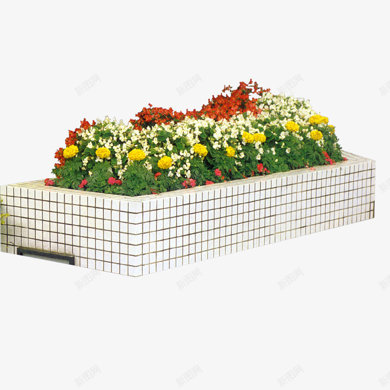 绿色植物png免抠素材_新图网 https://ixintu.com 园林 园林景观 盆栽 绿化装饰 绿色植物 花丛 花草