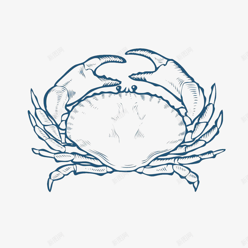 手绘海蟹png免抠素材_新图网 https://ixintu.com 卡通海蟹 卡通蟹 大海蟹 手绘海蟹 海蟹 螃蟹 蟹