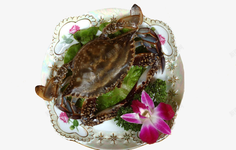 青蟹与花png免抠素材_新图网 https://ixintu.com 实物 海洋生物 素材 青蟹