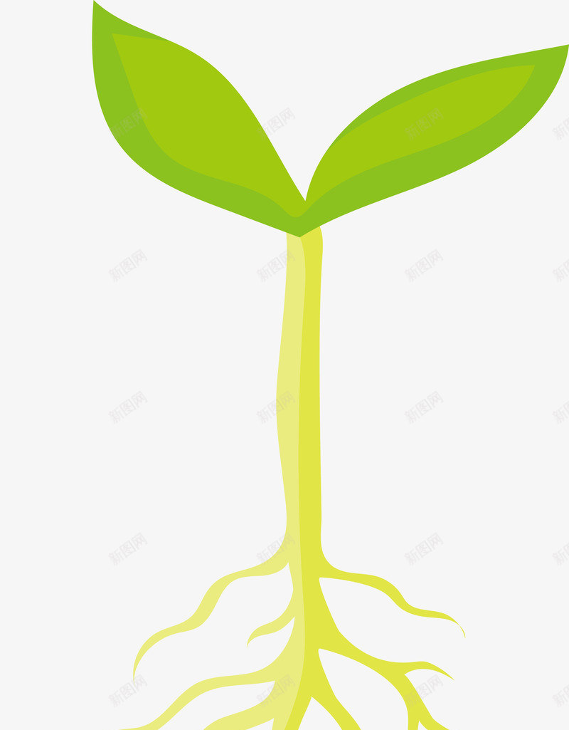 卡通麦苗png免抠素材_新图网 https://ixintu.com 大麦苗粉 小麦苗 燕麦苗 矢量麦苗 金色麦苗 青麦苗